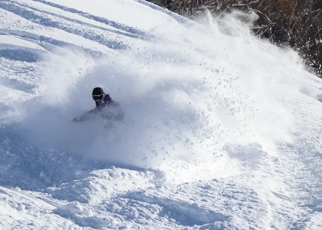 暖冬・少雪でも【スキー場集客が過去最多】！開業５６年目に１２月末までの来場者数「３万１３２８人」を記録！「人工造雪機の雪造り」で秋からゲレンデオープン！関西最大級のスキー場「グランスノー奥伊吹」 画像 2