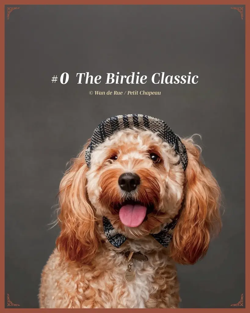 有限会社アクアテック、100％子会社としてペット向けライフスタイルブランド「Wan de Rue」を始動 画像 5