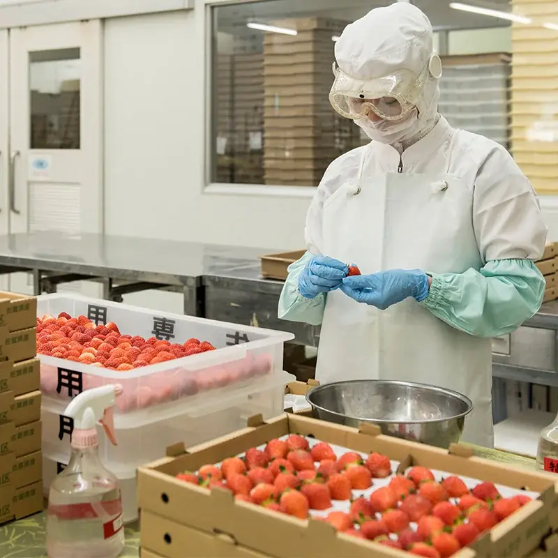 おかげさまで発売40周年！こだわりの如水庵の『いちご大福』期間限定で販売中！ 画像 3