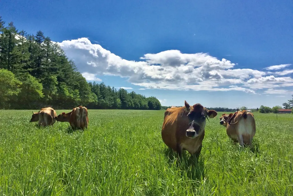 オリジナルミルクチョコレート専門店「Murir（ミュリル）」新商品や催事限定アイテムが阪急うめだ本店〈バレンタインチョコレート博覧会2026〉に登場！ 画像 6