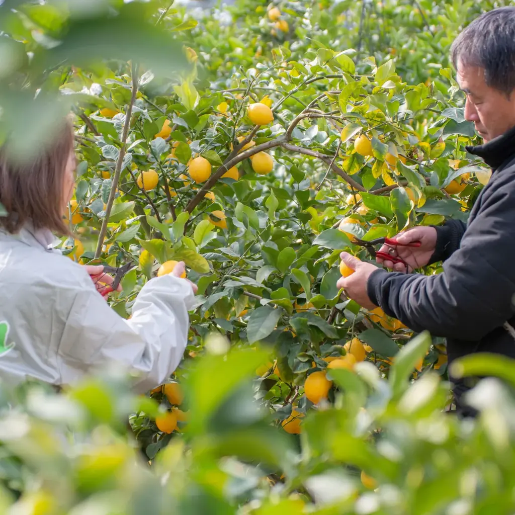オリジナルミルクチョコレート専門店「Murir（ミュリル）」新商品や催事限定アイテムが阪急うめだ本店〈バレンタインチョコレート博覧会2026〉に登場！ 画像 8