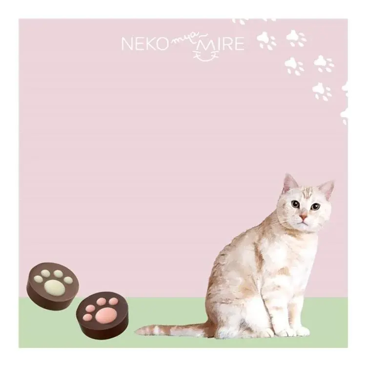 【ロフト】「メリーチョコレート雑貨2026」コラボ第5弾は、「ねこみゃみれ」雑貨、131店舗に登場！ 画像 9