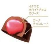 「幻の青いガーナ」が今年はさらに進化して登場！ピエール・エルメの代表的フレーバーとのスペシャルコラボ！『プレミアムガーナ　生チョコレート＜アンフィニマン ヴァニーユ＞』など3品発売 画像 5