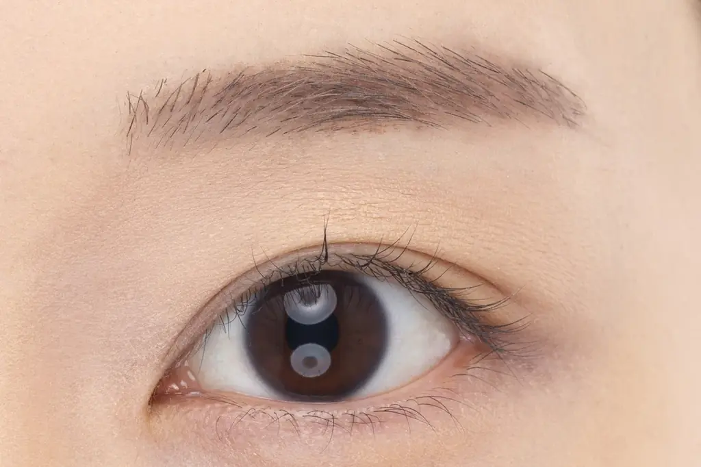 セザンヌの人気ニュアンス眉マスカラに抜け感のある定番ブラウンが仲間入り＆簡単にふわっと立体眉が完成！ノーズシャドウにも使える3色アイブロウパウダーから新色登場 画像 15