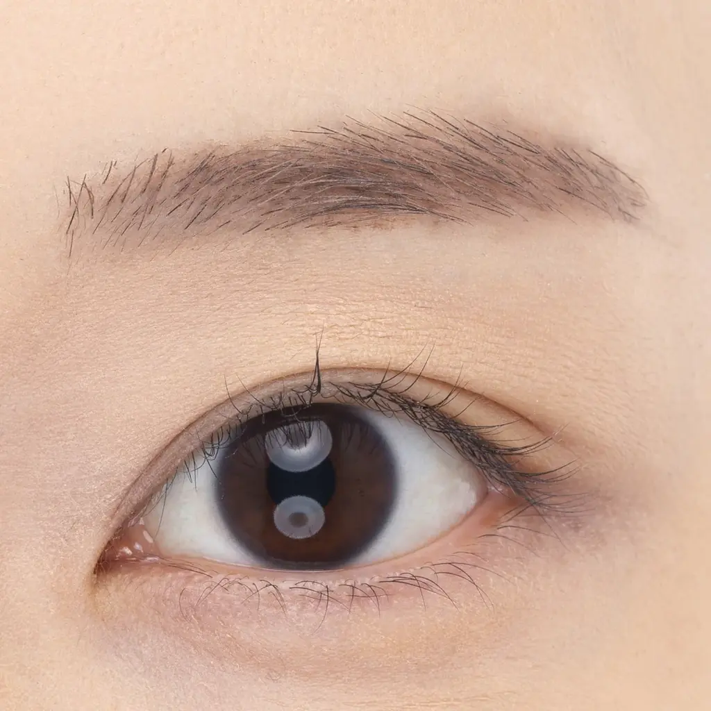 セザンヌの人気ニュアンス眉マスカラに抜け感のある定番ブラウンが仲間入り＆簡単にふわっと立体眉が完成！ノーズシャドウにも使える3色アイブロウパウダーから新色登場 画像 24