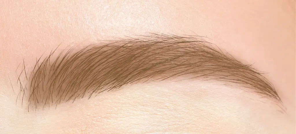 セザンヌの人気ニュアンス眉マスカラに抜け感のある定番ブラウンが仲間入り＆簡単にふわっと立体眉が完成！ノーズシャドウにも使える3色アイブロウパウダーから新色登場 画像 6