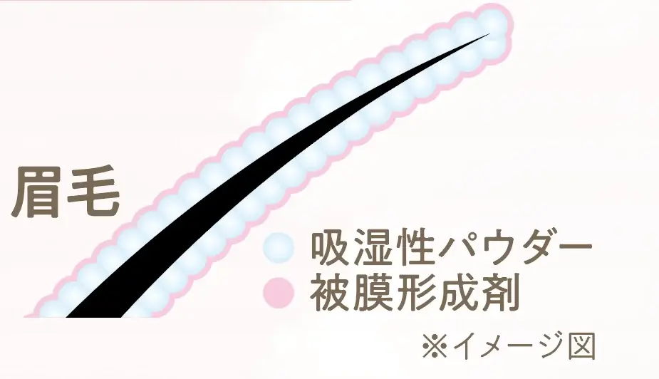 セザンヌの人気ニュアンス眉マスカラに抜け感のある定番ブラウンが仲間入り＆簡単にふわっと立体眉が完成！ノーズシャドウにも使える3色アイブロウパウダーから新色登場 画像 7