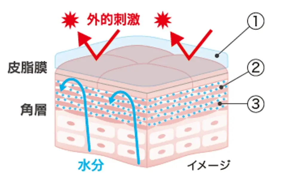 敏感肌・赤ちゃんにも使える『セラミエイド』からデリケートな肌も紫外線・乾燥からまもり肌あれを防ぐ日やけ止めを2月2日より順次発売 画像 2