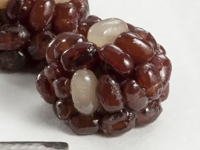 【京菓子處鼓月】節分の縁起物「恵方巻」をイメージした創作和菓子「招福－恵方巻」を数量限定で予約販売 画像 3