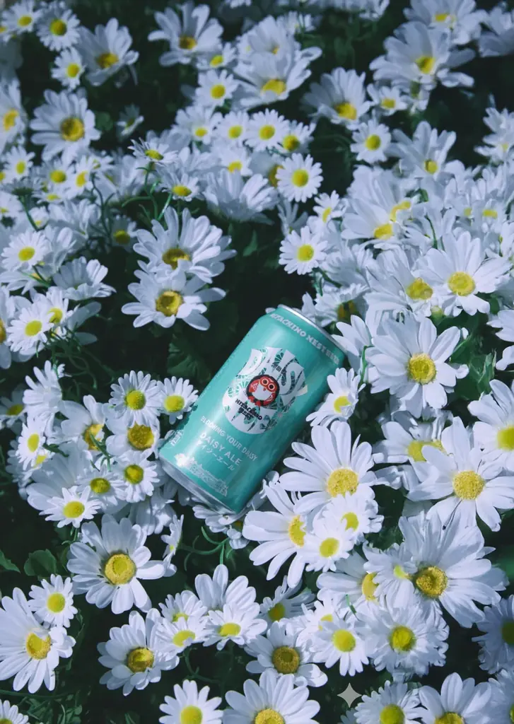 「常陸野ネストビール デイジーエール 350㎖」1月20日(火)日本国内で販売開始 画像 2