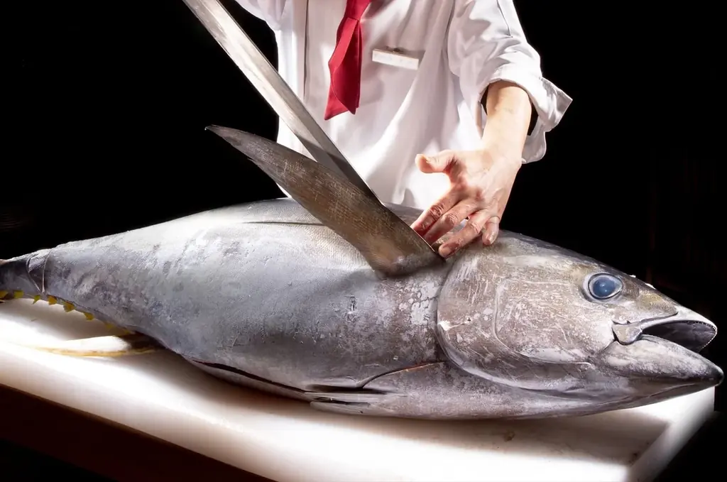 【学割☆卒旅】７大特典で春旅応援！きらめく海を望む絶景ホテル ～鳴門にしかない体験を♪ 食べて、踊って、湯に浸かる。 画像 14