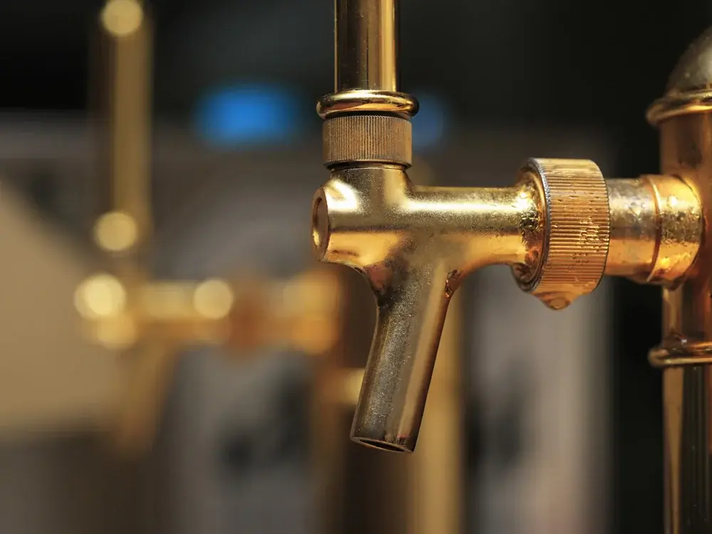 【新成人も大人も応援！】ランチ限定で『ごはん無限食べ放題！』｜焼肉ホルモンまるよし精肉店 画像 14