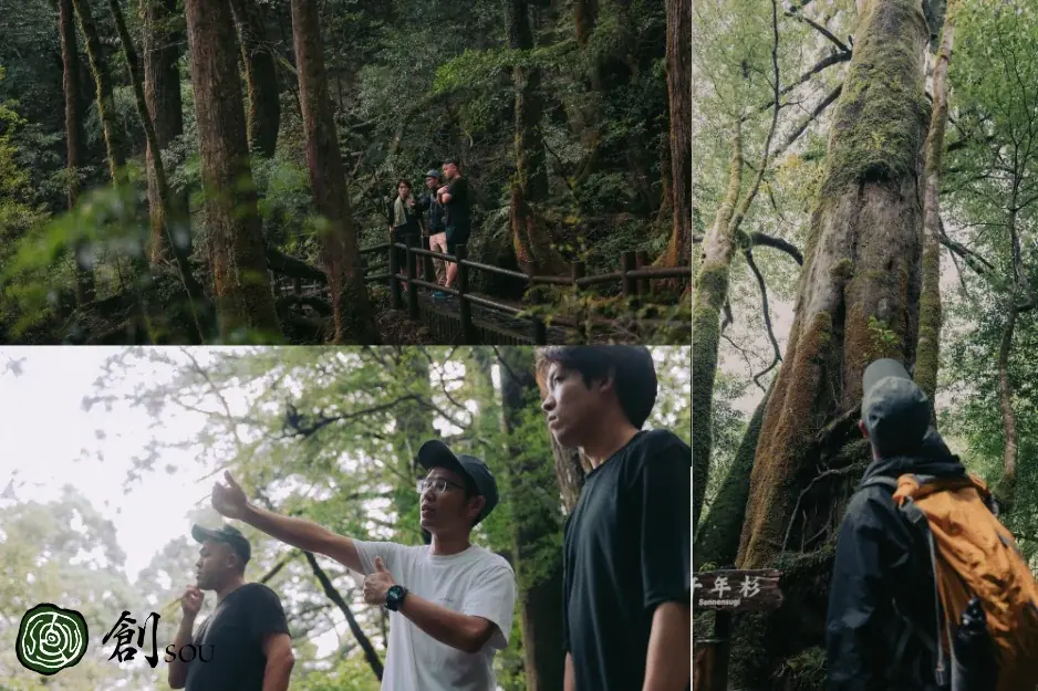 世界自然遺産・屋久島で教員向け新プログラム開始 画像 2