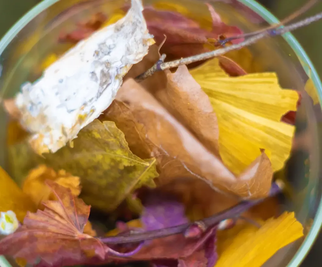 【SHIRO】LIMITED ITEM ホワイトティー フレグランスポプリ 画像 1