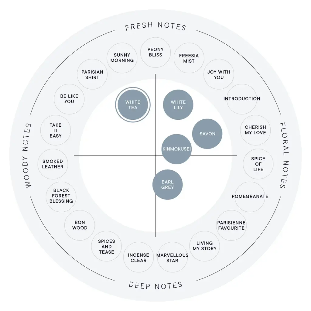 【SHIRO】LIMITED ITEM ホワイトティー フレグランスポプリ 画像 4