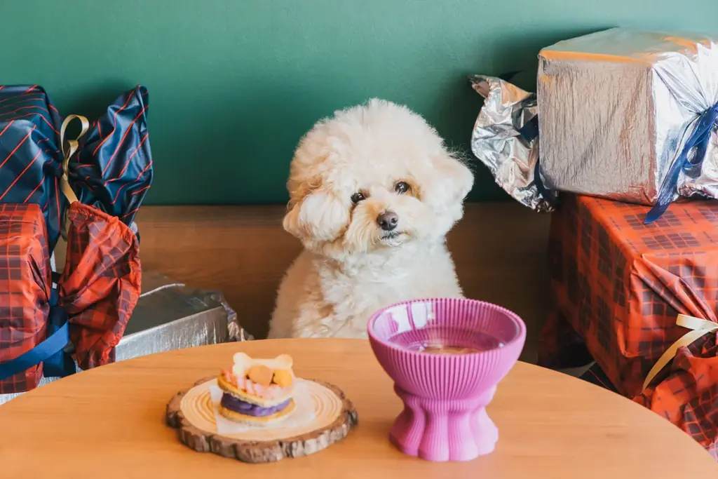 【OMO5東京五反田】愛犬とスイーツやフォトスポットでの撮影を楽しむ「バレンタインドッグラウンジ」初登場 画像 4