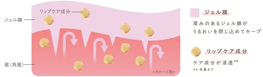 『エクセル』から、むっちり厚膜！ぽってりボリューム唇*に導く　美容液発想から生まれた、ケアする「トリートメントグロス」発売 画像 7
