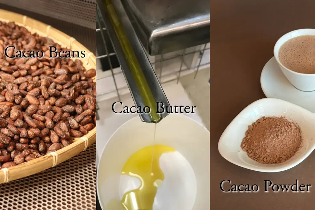 【ショコラティエ パレドオール】バレンタインに贈る新発想のチョコレート！再生と海水、型にはまらない2つのアプローチ 画像 2