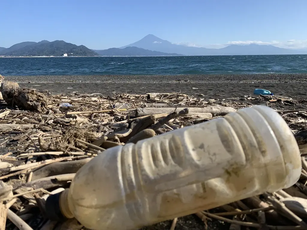 静岡市×BANDAI SPIRITS×サンシャイン水族館が共催 ― 国際教育デーの1月24日(土)に 親子で学ぶ海洋プラスチック体験イベントを開催 画像 2