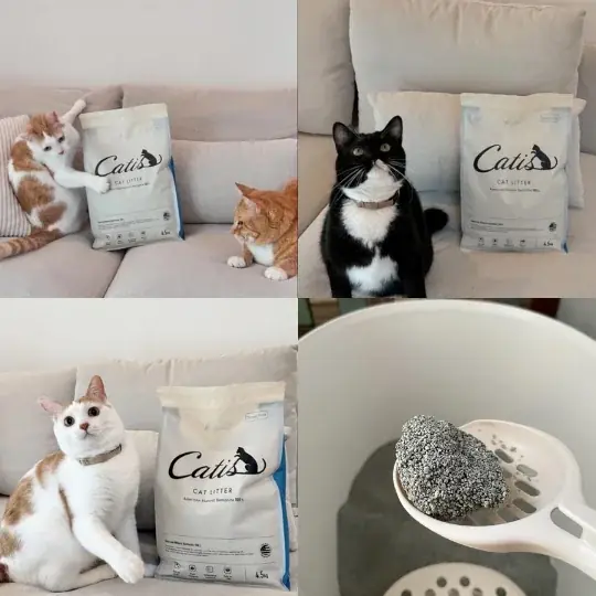 累計3,000袋販売の猫砂ブランド「Catis（キャティス）」、1月15日（木） より 楽天市場に公式ショップをオープン 画像 3