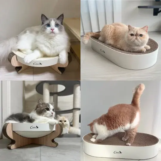 累計3,000袋販売の猫砂ブランド「Catis（キャティス）」、1月15日（木） より 楽天市場に公式ショップをオープン 画像 7