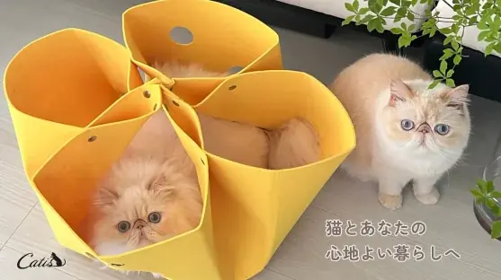 累計3,000袋販売の猫砂ブランド「Catis（キャティス）」、1月15日（木） より 楽天市場に公式ショップをオープン 画像 8