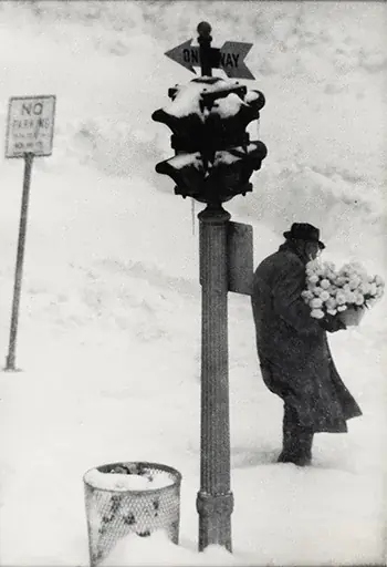 東京都写真美術館「W. ユージン・スミスとニューヨーク　ロフトの時代」 画像 3