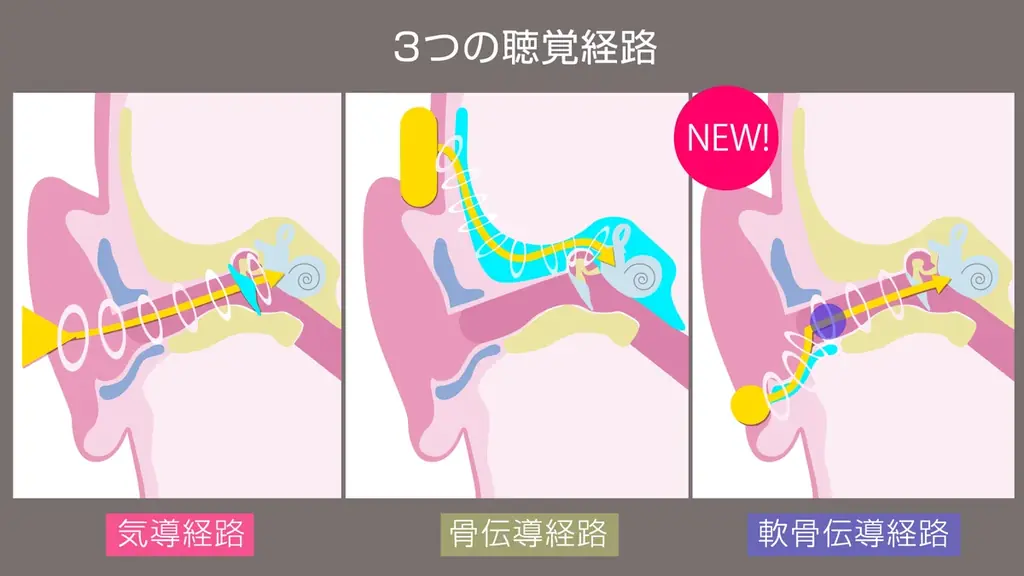 職場や公共施設での「聞き返し」を減らす。不快なハウリングを抑え、快適な聞こえを実現。首かけ軟骨伝導式集音器「cheero Otocarti LINK」を販売開始 画像 13