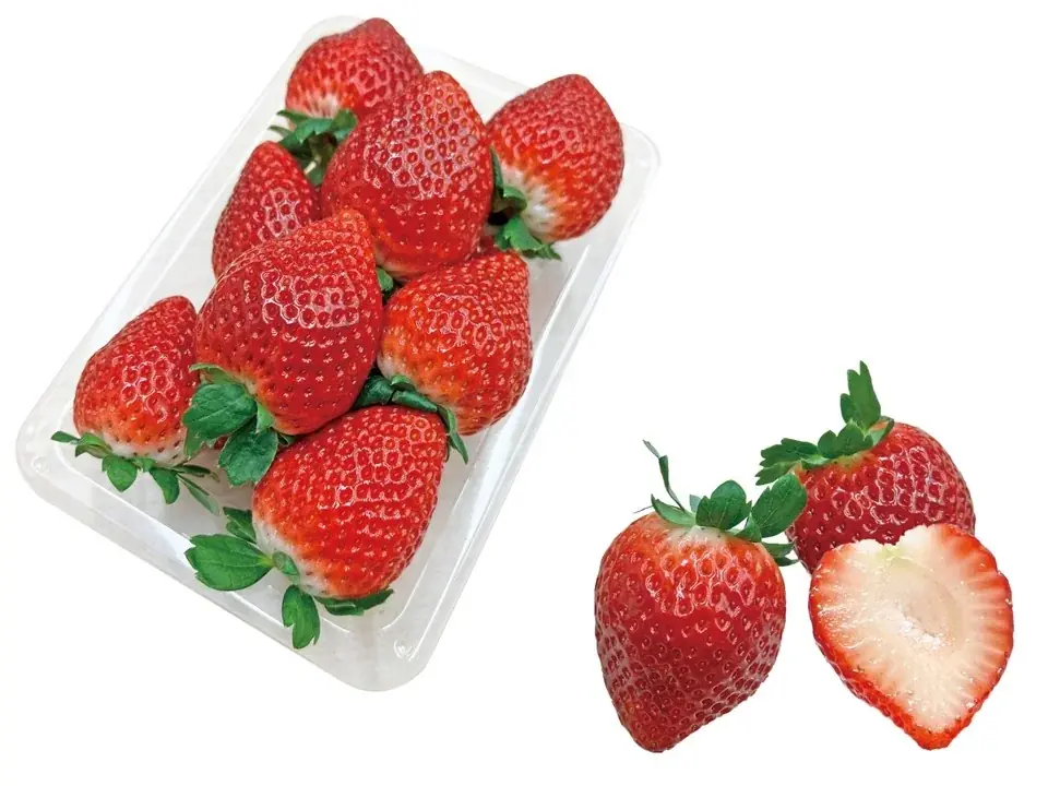 佐野アウトレットでTVアニメ「黒執事ー寄宿学校編ー」とのコラボマンホール「葬儀屋（アンダーテイカー）」新デザイン公開 画像 9