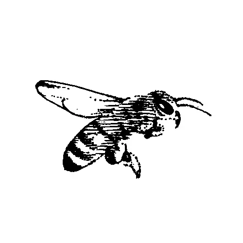 PARCO PRINT CENTER -ART POSTER TRADE 2026- “LUMINOUS” アートポスターのデザイン公開！今年はMizunoとのコラボレーションTシャツも登場！ 画像 13