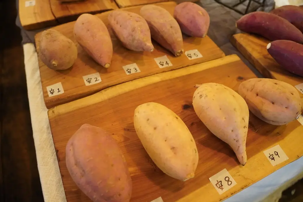 日本中のさつまいも生産者から今年は8組が選抜されました！今年度の特選生産者が決定！ 画像 7