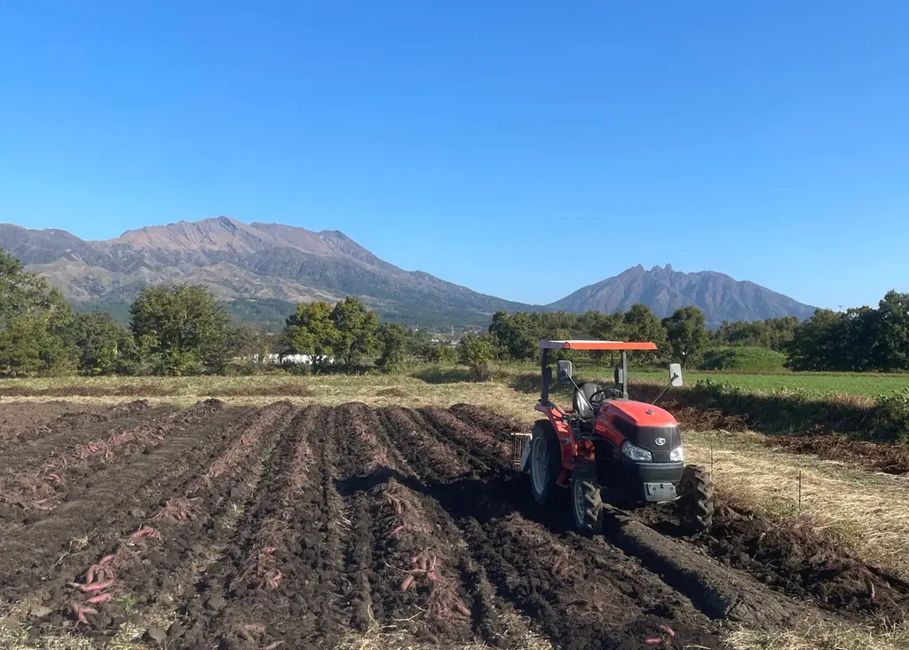 ヤタロー地産地消工場店に新登場！浜松出身の農家が阿蘇の大地で育てた“農薬不使用”熟成べにはるかの焼き芋を販売開始！ 画像 2