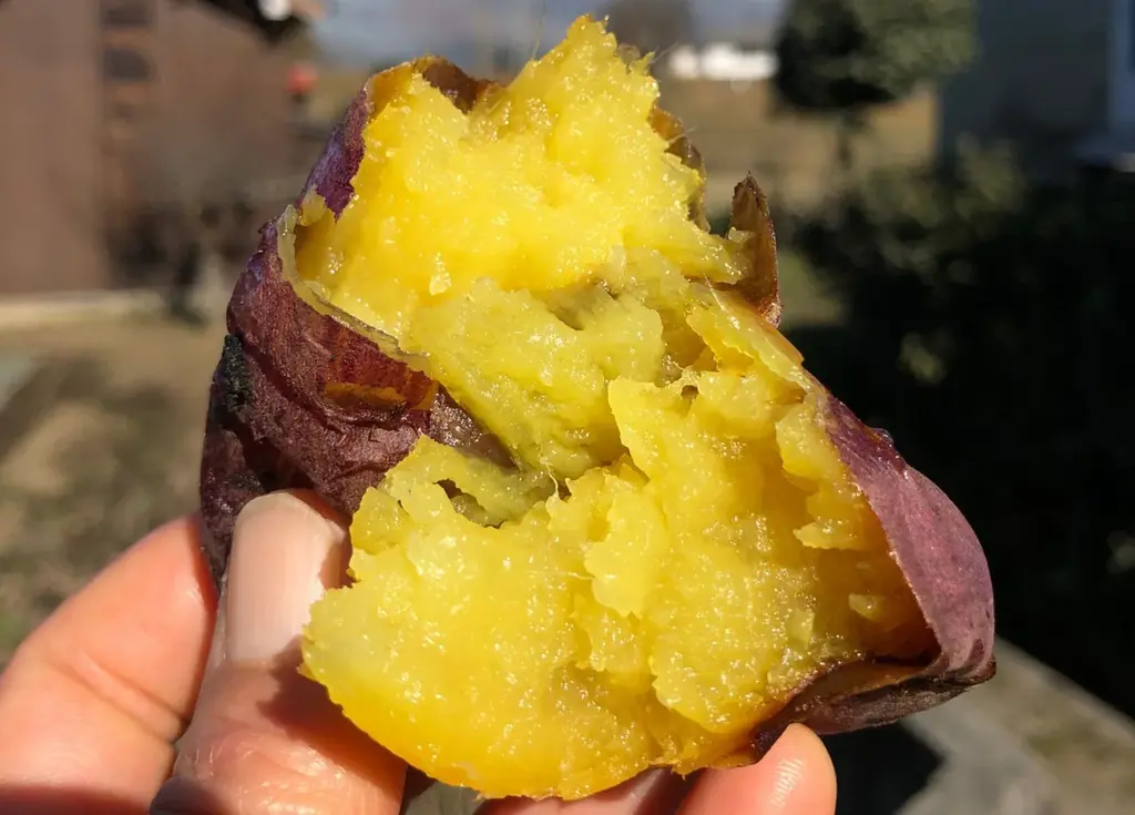 ヤタロー地産地消工場店に新登場！浜松出身の農家が阿蘇の大地で育てた“農薬不使用”熟成べにはるかの焼き芋を販売開始！ 画像 5