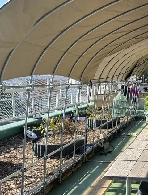 育てて、収穫して、つながる。ソフトバンク個人株主プロジェクト第4弾「かぶ × 株農園～かぶと株を一緒に育てよう！～」が始動！投資家 桐谷広人さんが農園長に就任 画像 3