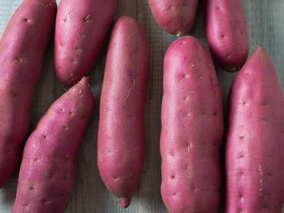 【食の力で地域にエール！】５周年を迎える「Yell応援菓」から、ほっと優しい甘さ広がる“冬メニュー” 画像 9