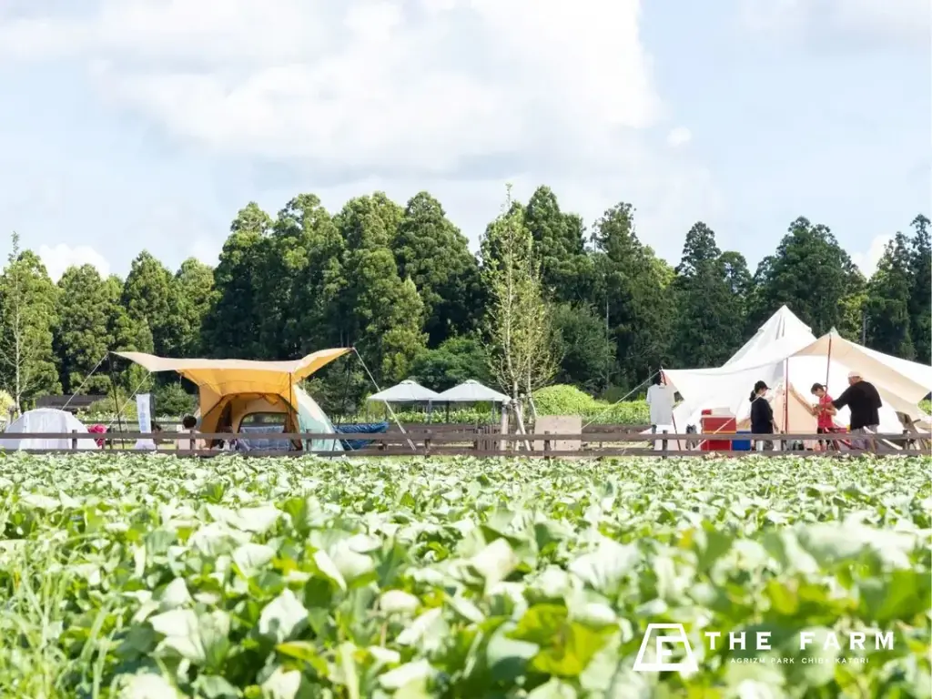 【3月平日限定】学生証提示でグループ全員いちご狩り無料。グランピング・BBQ・天然温泉・サウナまで一日満喫できる「学生応援プラン」予約開始 画像 17