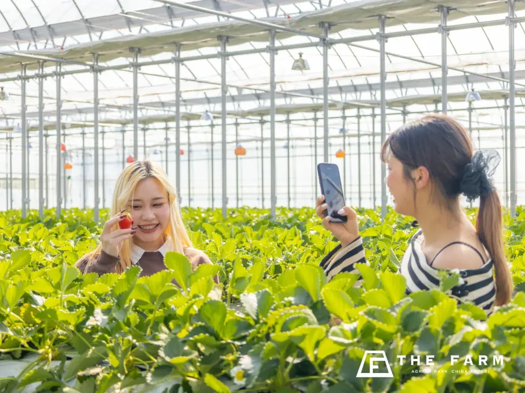 【3月平日限定】学生証提示でグループ全員いちご狩り無料。グランピング・BBQ・天然温泉・サウナまで一日満喫できる「学生応援プラン」予約開始 画像 3