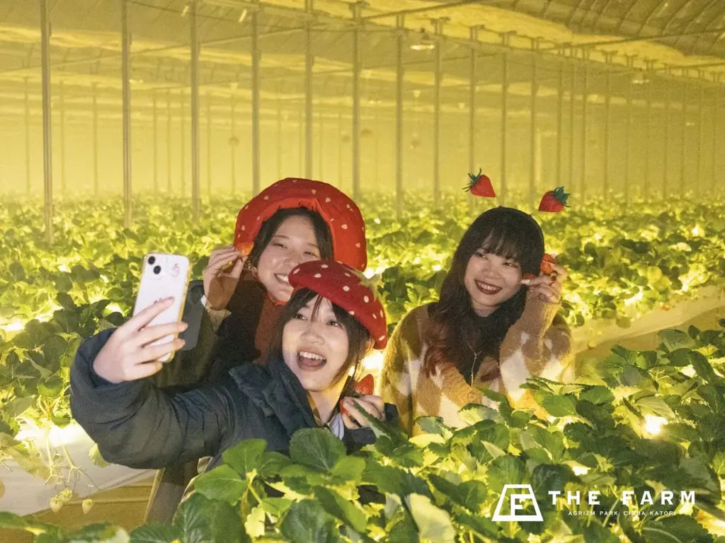 【3月平日限定】学生証提示でグループ全員いちご狩り無料。グランピング・BBQ・天然温泉・サウナまで一日満喫できる「学生応援プラン」予約開始 画像 4