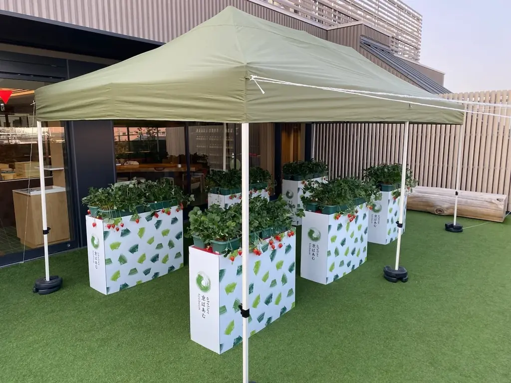 初めての選べる”ばあむ”と”スタイル”で、自分だけの”いちご”スイーツ作り体験はいかが？ 画像 3