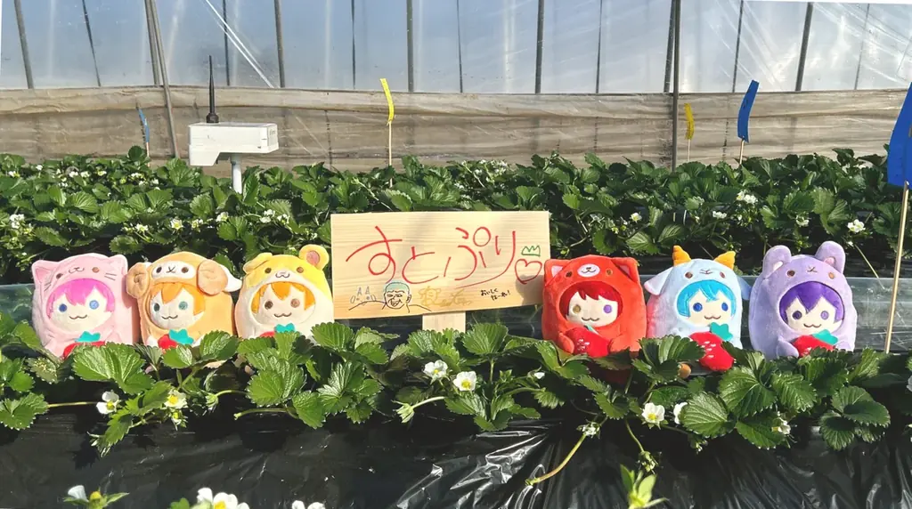 すとぷりの歌声を浴びて育ったオリジナルブランド苺『すとぷり』完成！猛暑を乗り越えた“特別な一粒”が、本日より数量限定で販売開始！ 画像 2