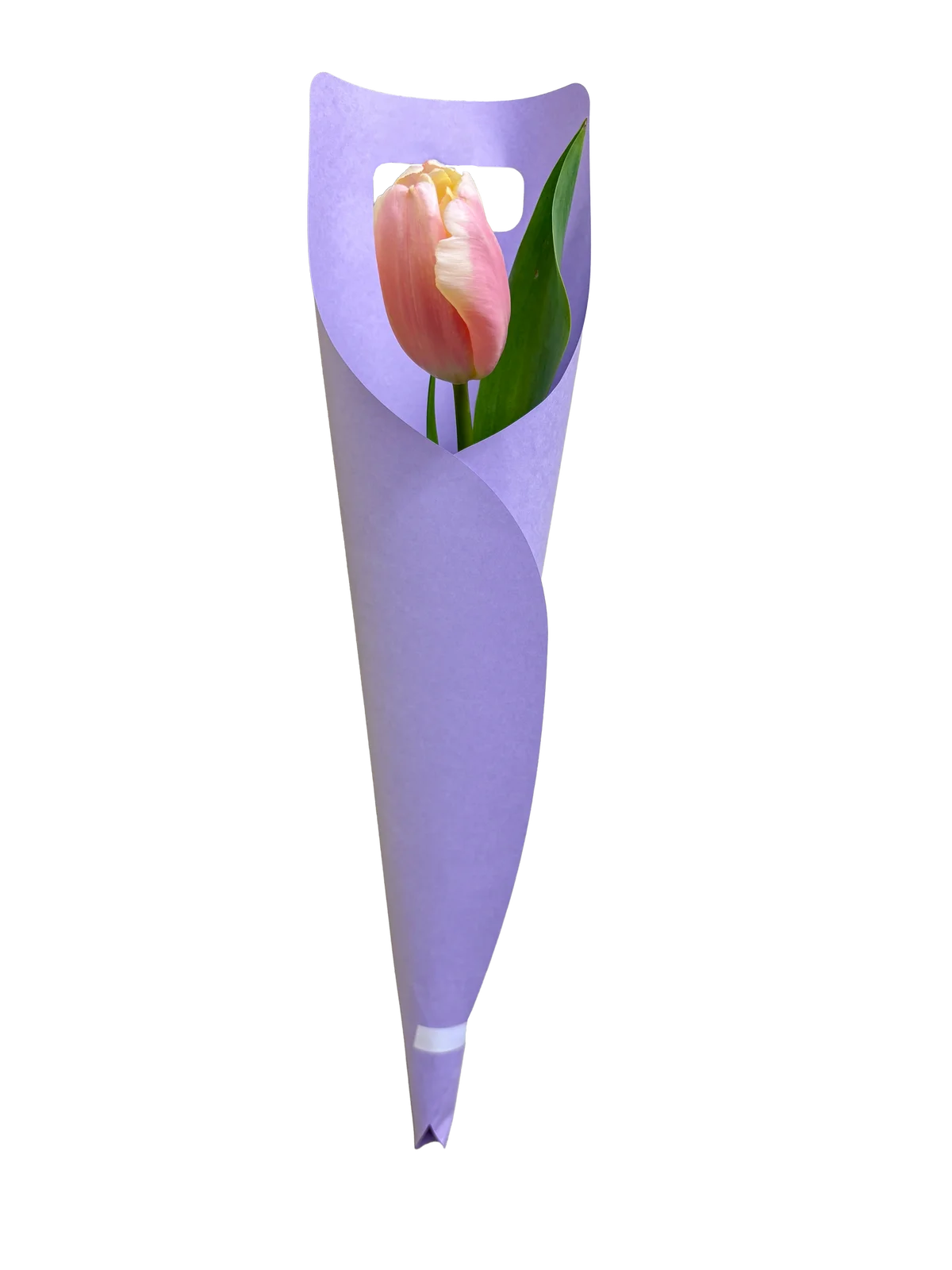 エキナカ商業施設「グランスタ」「エキュート」ギフトフェア第一弾「One Gift, Too Much Love. ～わたしも しあわせ、だれかも しあわせ。～」グランスタのバレンタインギフト特集 画像 19