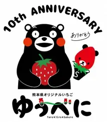 愛されて10年。熊本県が誇るいちご「ゆうべに」生産者の努力に支えられ迎えた10周年 画像 3