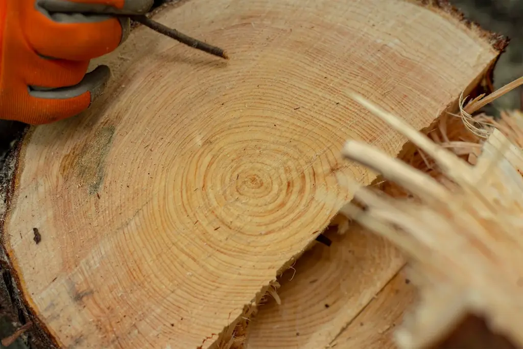 【開催告知リリース第3弾】全国39都道府県から約320事業者が集結する国産木材の祭典「WOODコレクション（モクコレ）2026」開催 画像 5