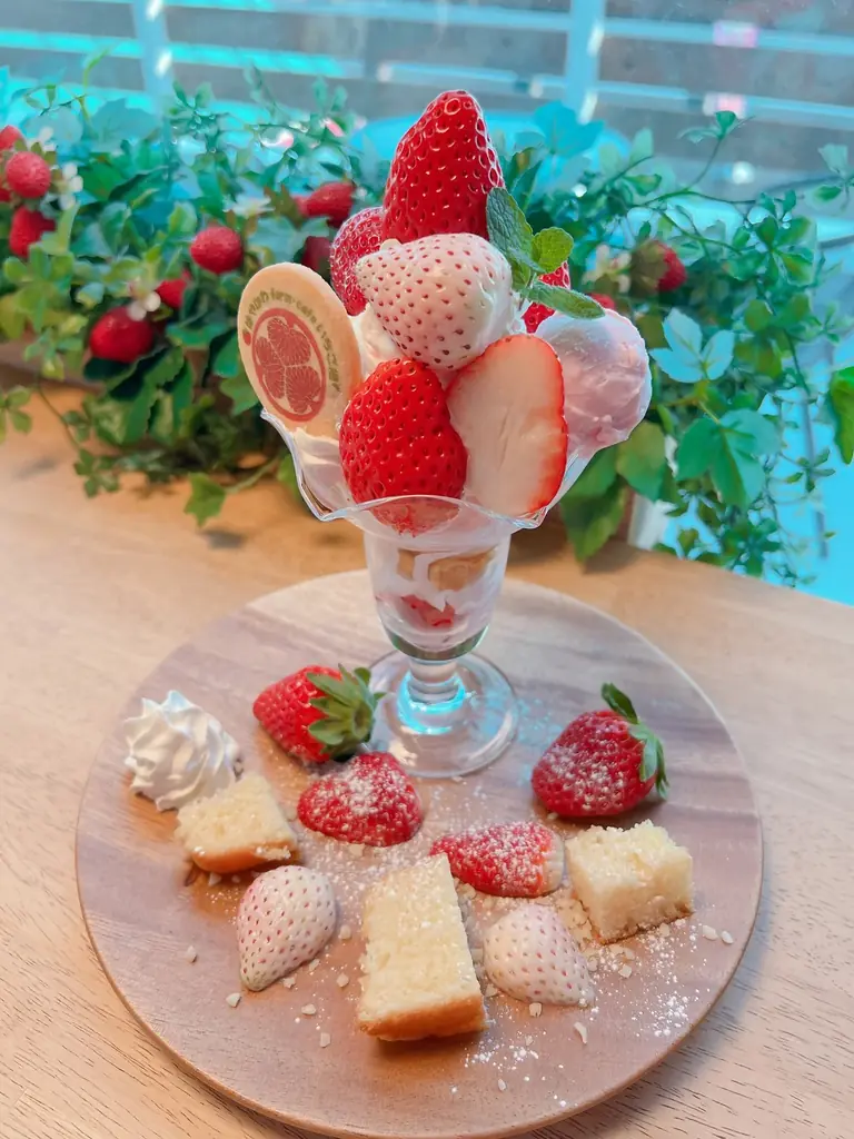 【約130年の歴史を誇るいちご栽培のはじまりの地・静岡市・久能山】久能街道・いちご海岸通りで、「石垣いちご」のいちご狩りが1月中旬より本格開始 画像 12