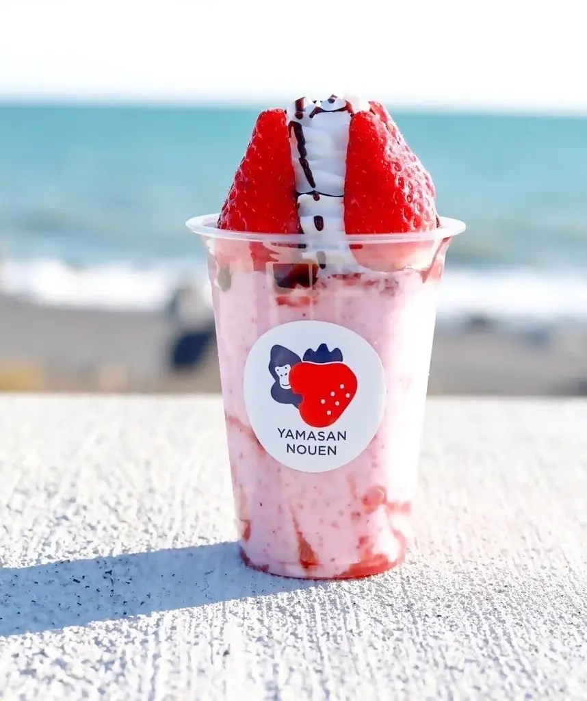 【約130年の歴史を誇るいちご栽培のはじまりの地・静岡市・久能山】久能街道・いちご海岸通りで、「石垣いちご」のいちご狩りが1月中旬より本格開始 画像 14