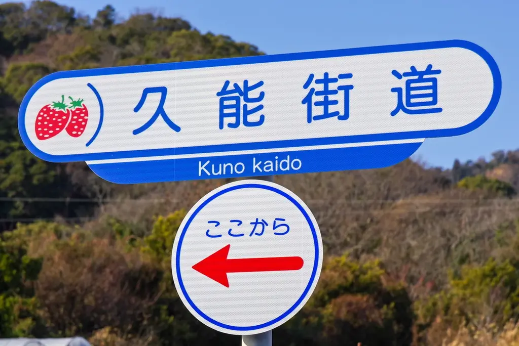 【約130年の歴史を誇るいちご栽培のはじまりの地・静岡市・久能山】久能街道・いちご海岸通りで、「石垣いちご」のいちご狩りが1月中旬より本格開始 画像 4