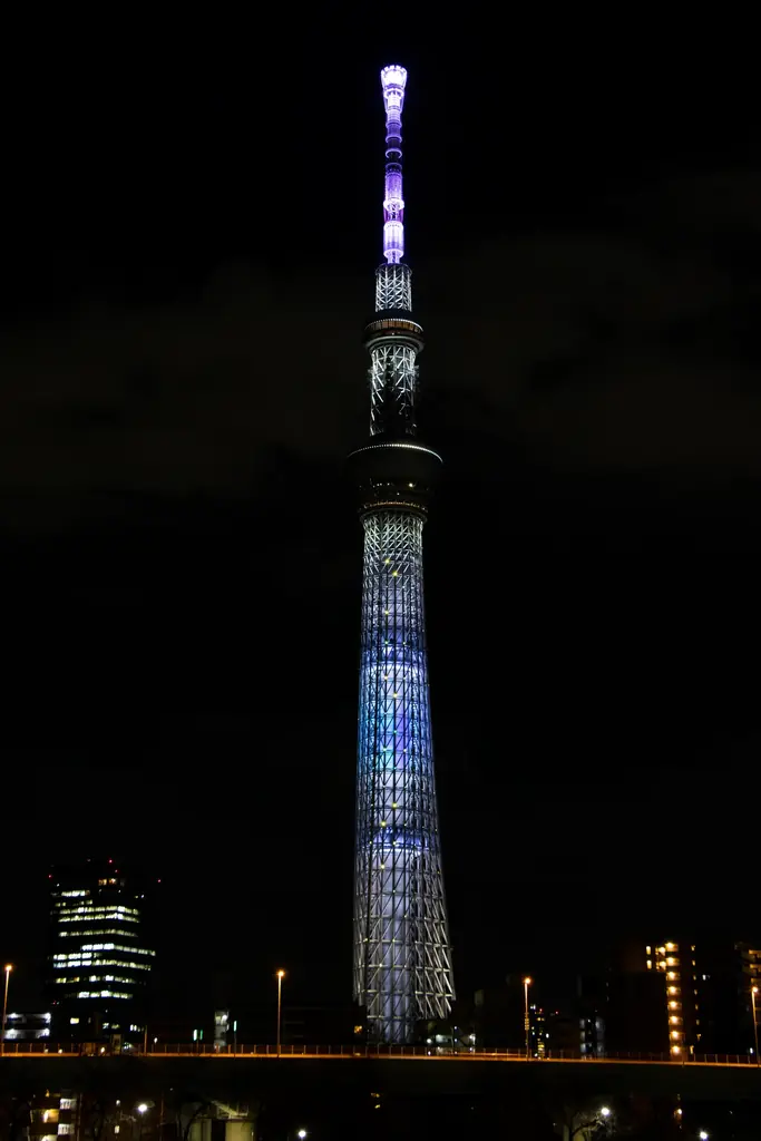 HAPPY VALENTINE TOKYO Solamachi 2026 画像 20