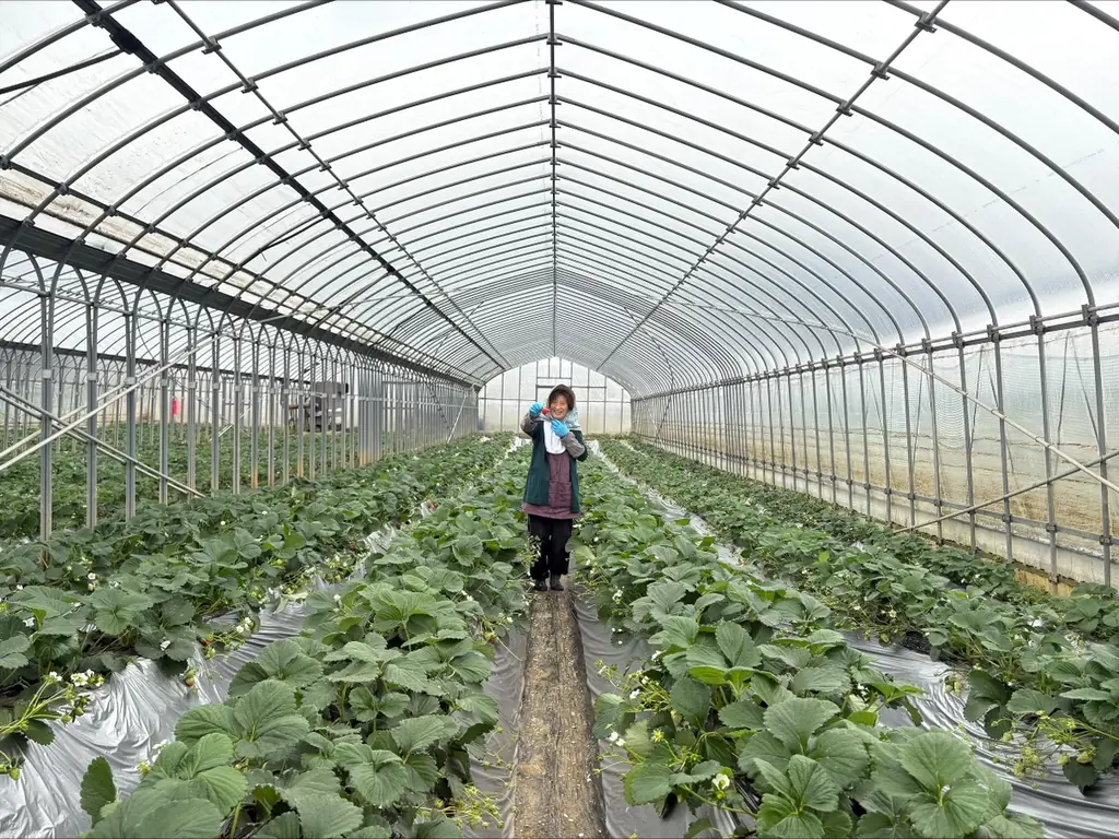 【メルキュール横須賀】季節ごとに新しい! 少しだけ特別なアフタヌーンティーシリーズ「Very Collection」誕生！ 第一弾は横須賀生まれの苺とSAKURAがきらめく春メニューが登場 画像 6