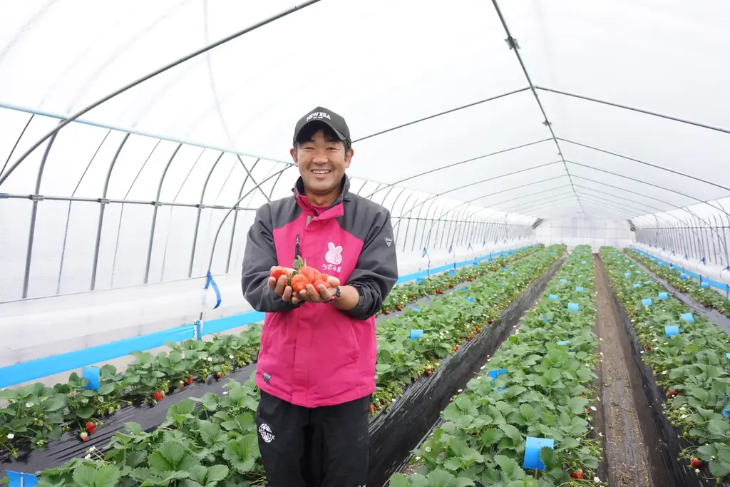 【水戸プラザホテル】大人気ストロベリーアフタヌーンティーセットの第二弾！県産苺の食べ比べが付いた贅沢なラインナップ 画像 11