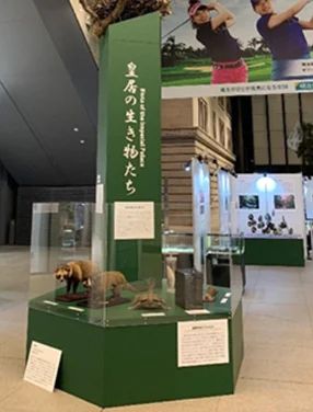 【国立科学博物館】明治安田×国立科学博物館企画展「ペンギン展 海の健康を教えてくれるいきもの」および環境教育イベントを開催 ‐明治安田ヴィレッジ丸の内‐ 画像 2
